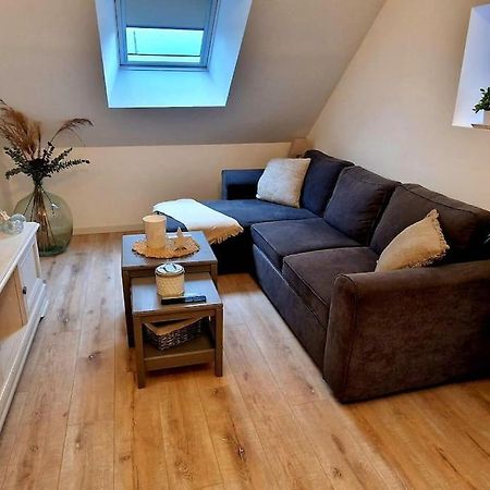 Appartement Charmant Et Spacieux 欧塞尔 外观 照片