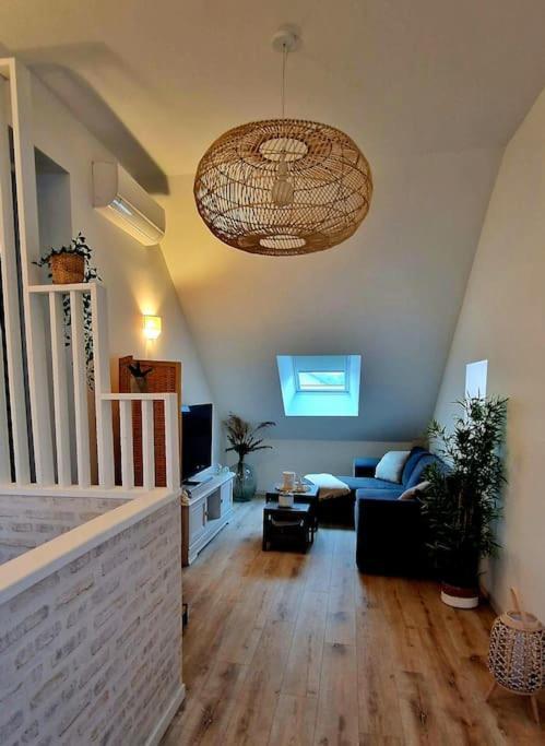 Appartement Charmant Et Spacieux 欧塞尔 外观 照片
