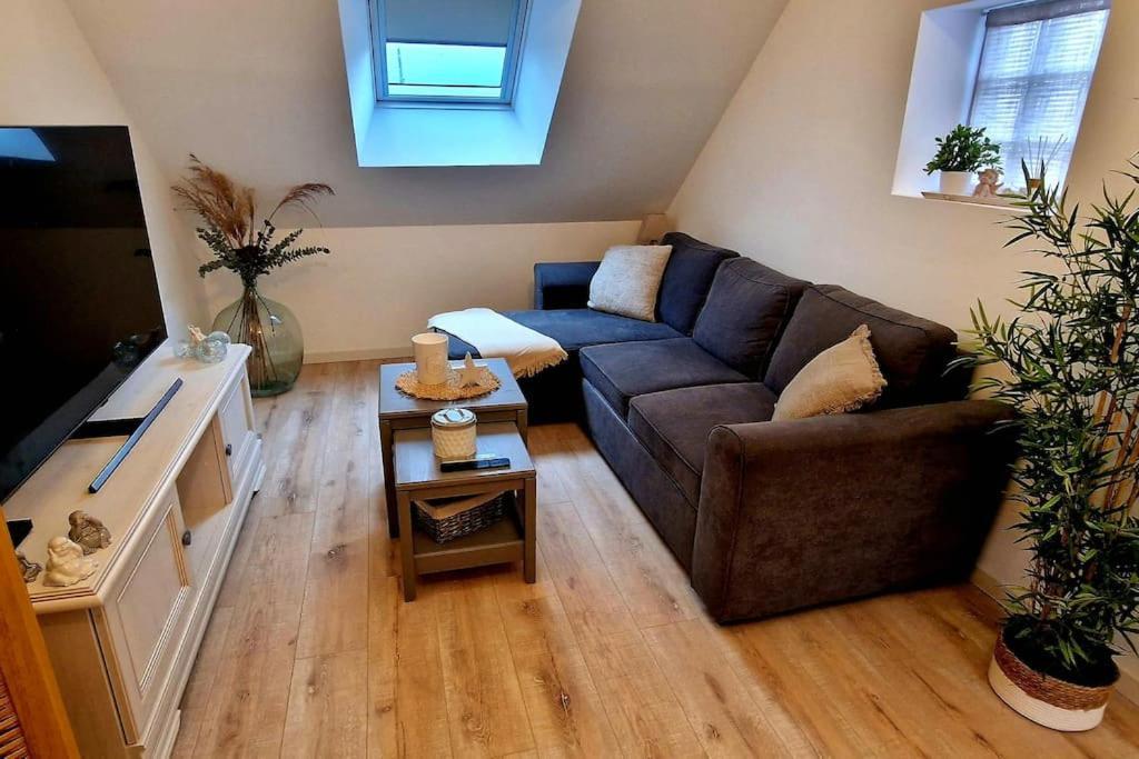 Appartement Charmant Et Spacieux 欧塞尔 外观 照片