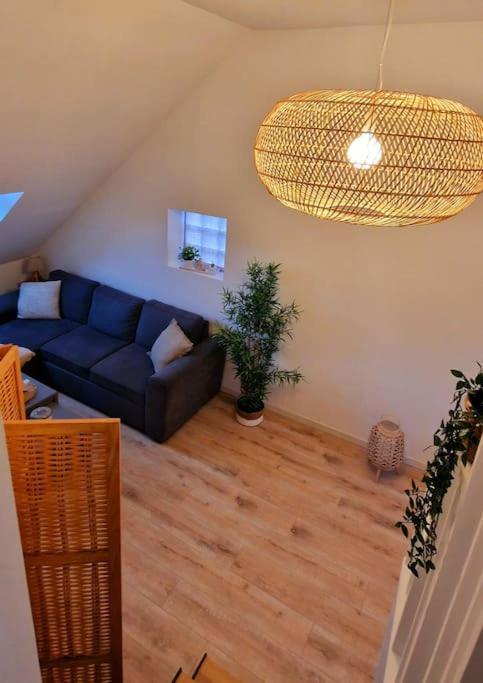 Appartement Charmant Et Spacieux 欧塞尔 外观 照片